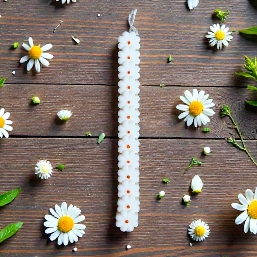 Daisies Λαμπάδα